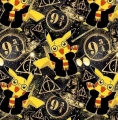 587004973_816617854579332_2285455715165076739_n.jpg