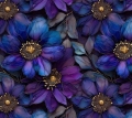 Bez nazwy.jpg